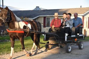 Japanese ride Amish buggy